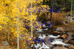 Fall Waterfall West Guanella Pass Grant CO